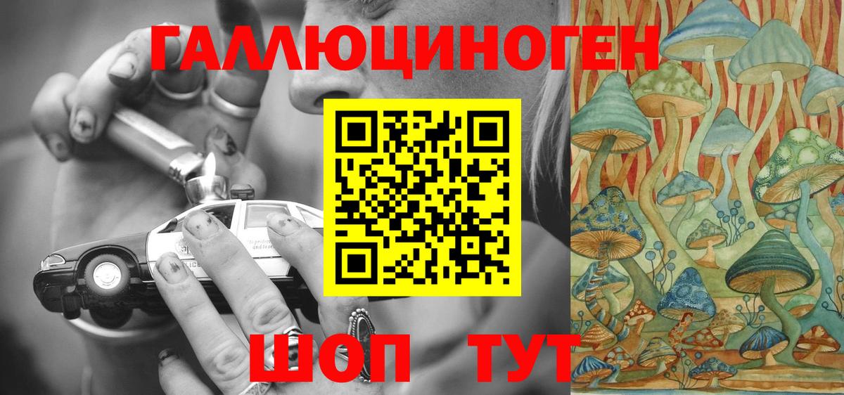 Псилоцибиновые грибы Psilocybine cubensis Нягань